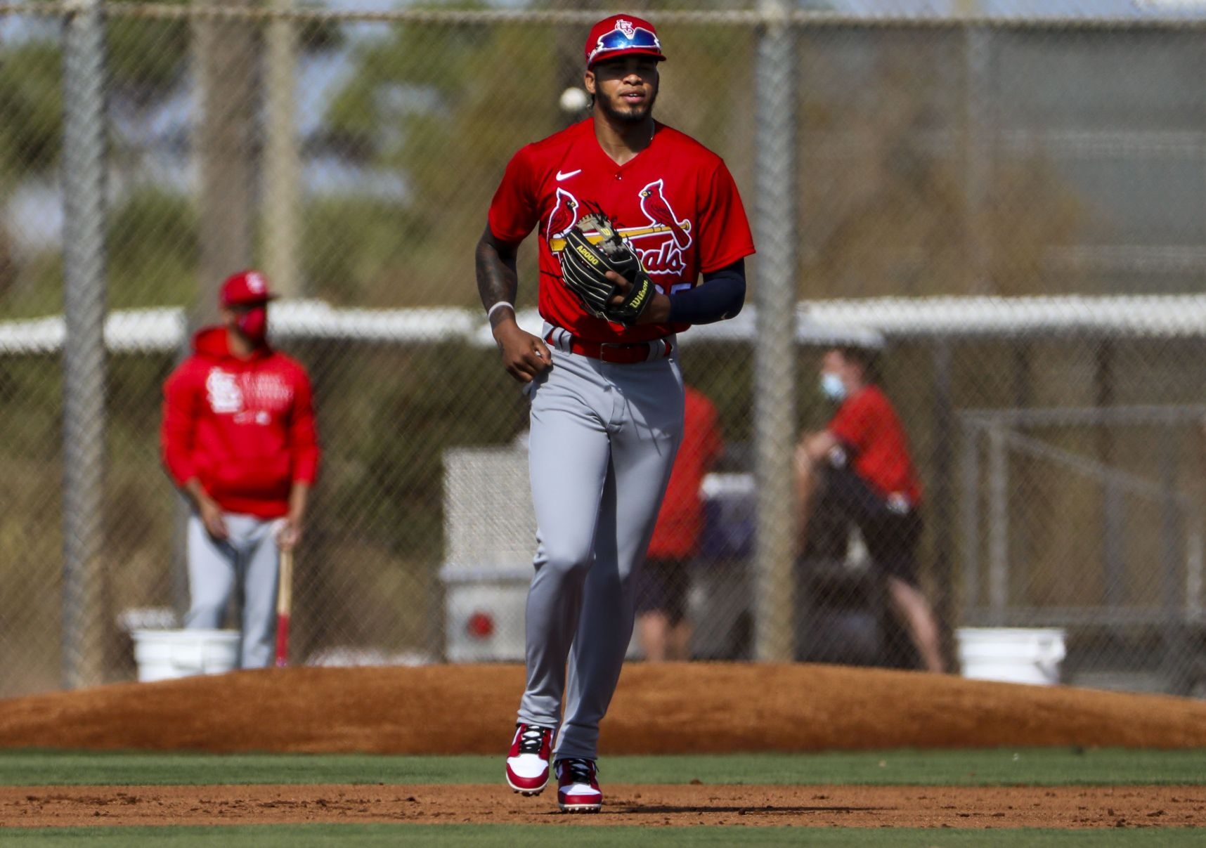 Second day of Cardinals full squad workouts